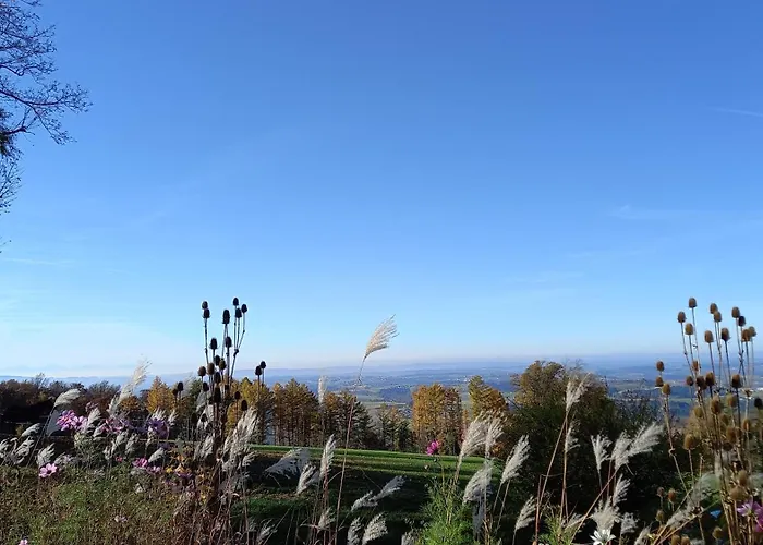 Apartman Berggasthof Gut Lichtenau *