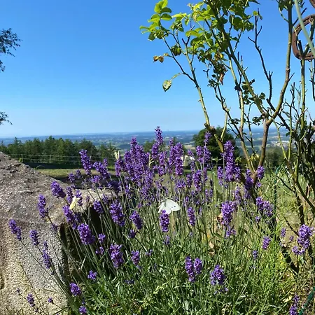 Apartamento Berggasthof Gut Lichtenau *