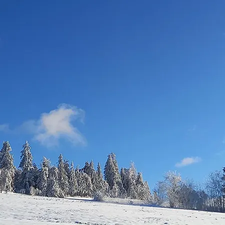 Berggasthof Gut Lichtenau Apartamento Hauzenberg
